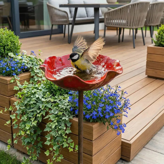 Vogelbad met Rode Klaproos